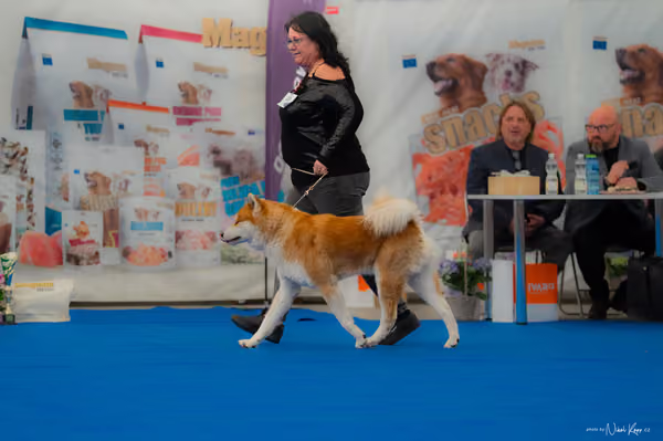 For Pets Cup — DSC02860