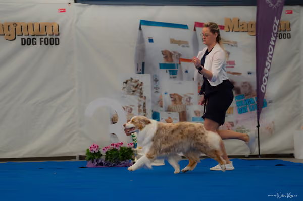 For Pets Cup — DSC02867