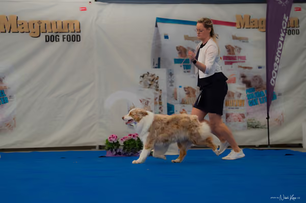 For Pets Cup — DSC02868