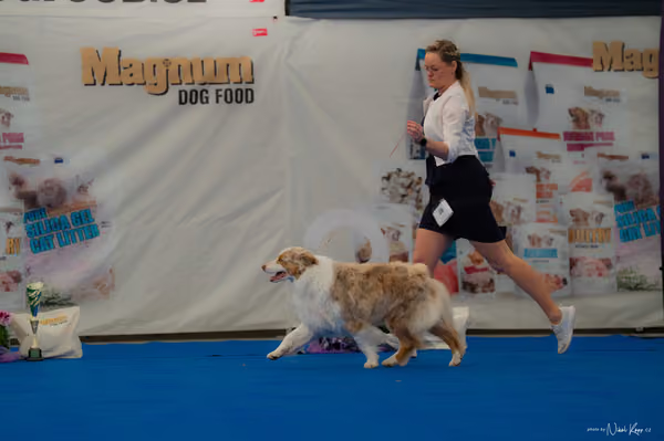 For Pets Cup — DSC02870