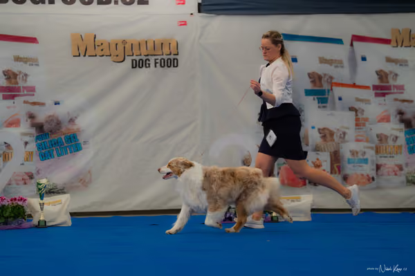 For Pets Cup — DSC02871