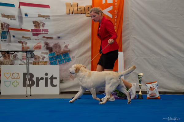 For Pets Cup — DSC02879