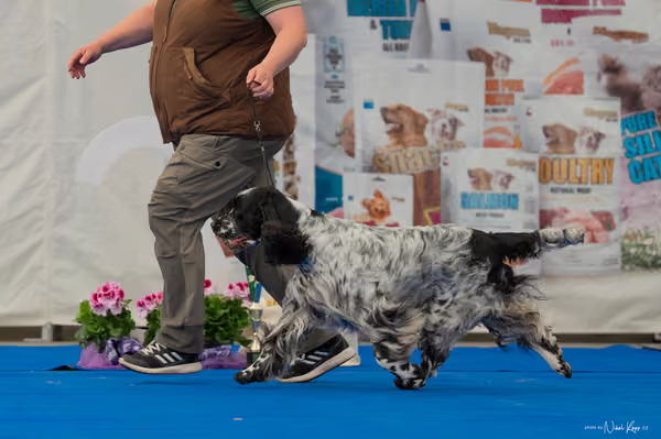 For Pets Cup — DSC02883