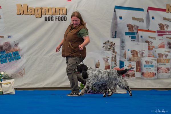 For Pets Cup — DSC02886