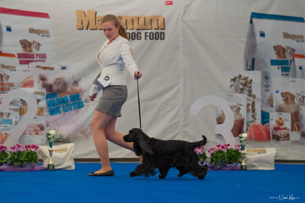 For Pets Cup — DSC02889