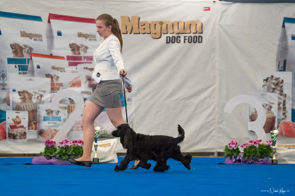 For Pets Cup — DSC02892