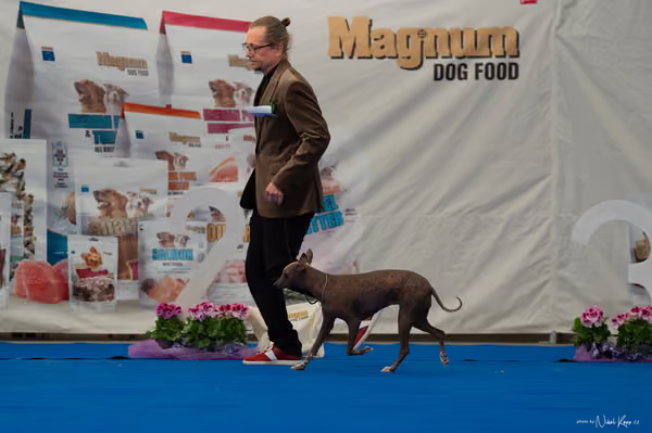 For Pets Cup — DSC02895