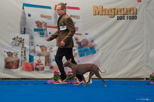 For Pets Cup — DSC02897