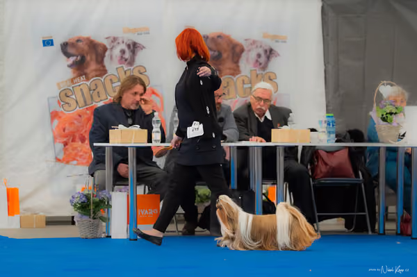 For Pets Cup – Veterán