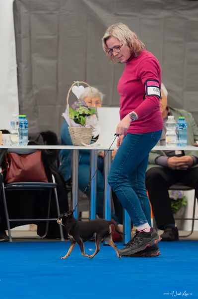 For Pets Cup – Veterán