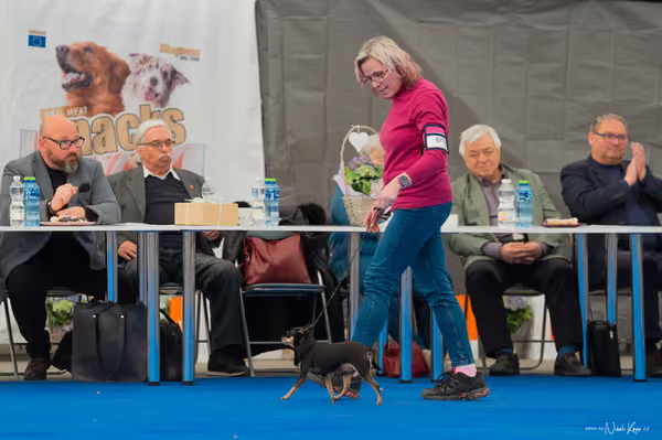 For Pets Cup – Veterán