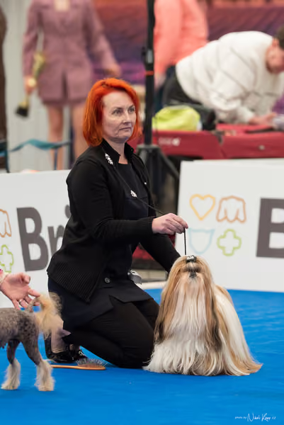 For Pets Cup – Veterán