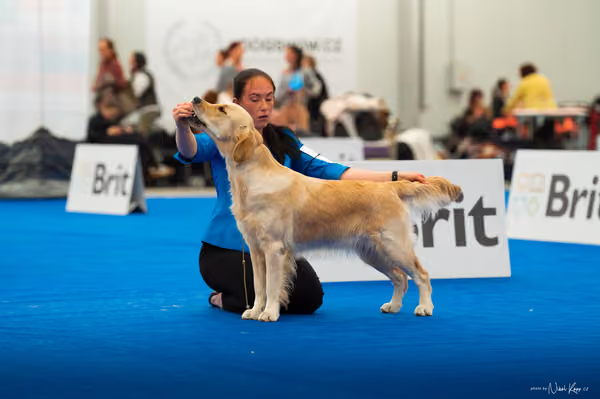 For Pets Cup — DSC01600