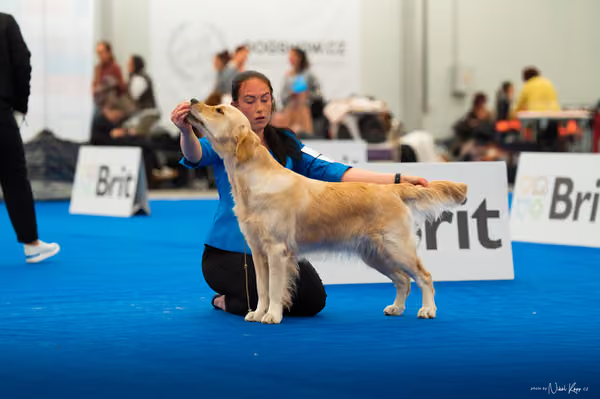 For Pets Cup — DSC01602