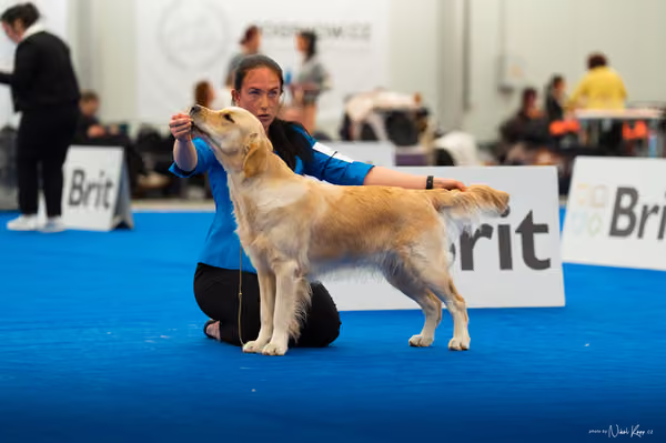 For Pets Cup — DSC01603