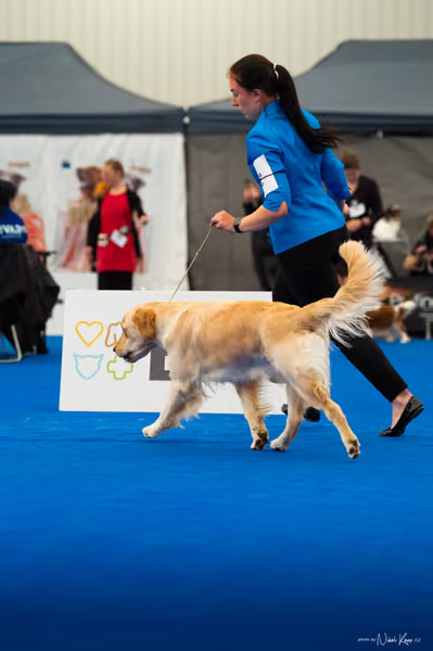 For Pets Cup — DSC01607