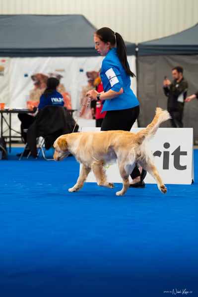 For Pets Cup — DSC01611