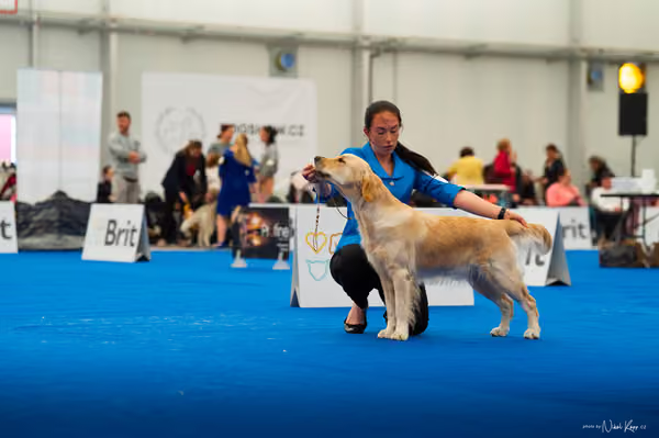 For Pets Cup — DSC01616