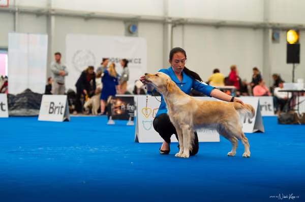 For Pets Cup — DSC01617
