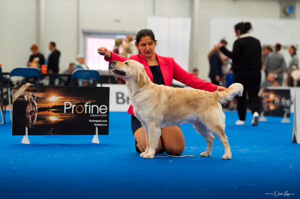 For Pets Cup — DSC01619