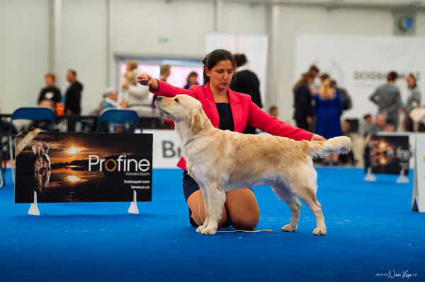 For Pets Cup — DSC01623