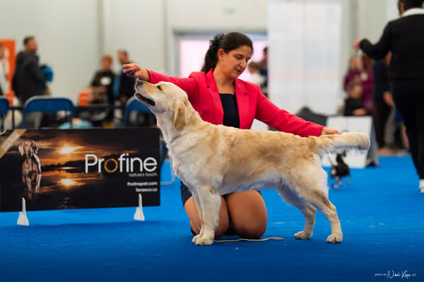 For Pets Cup — DSC01626