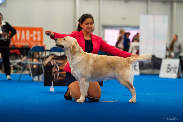 For Pets Cup — DSC01628
