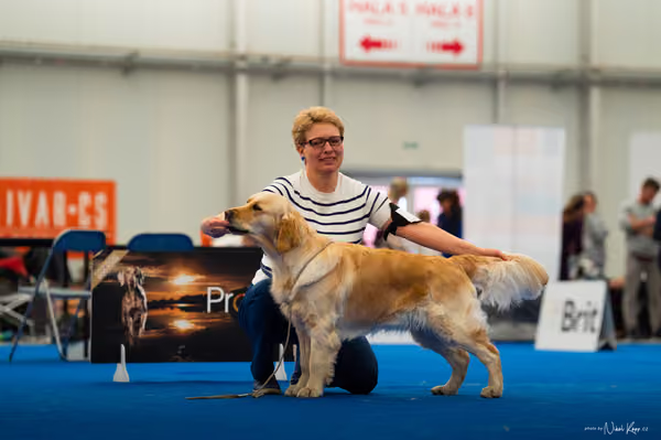 For Pets Cup — DSC01630