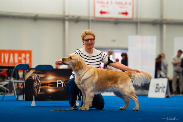 For Pets Cup — DSC01631