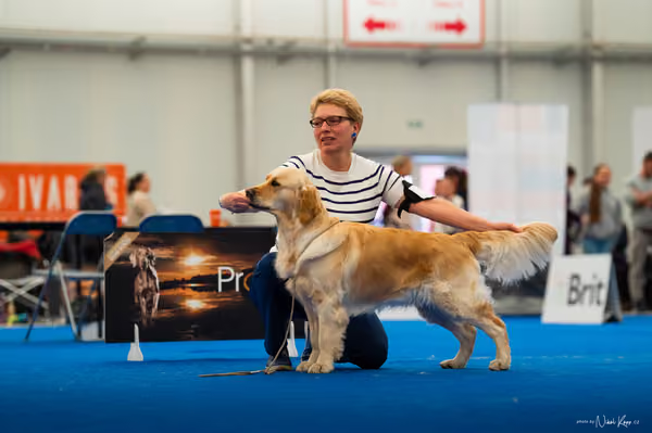 For Pets Cup — DSC01633