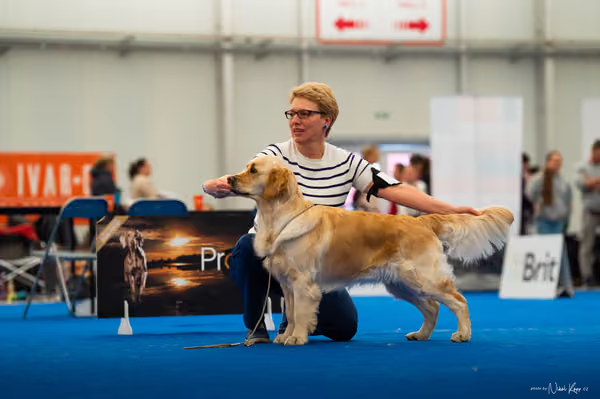 For Pets Cup — DSC01635