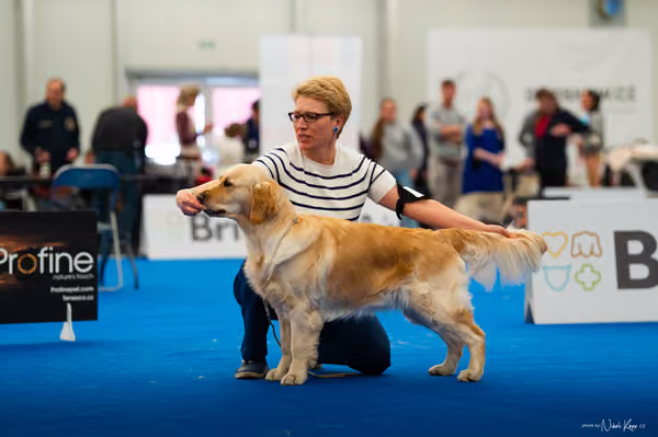 For Pets Cup — DSC01652