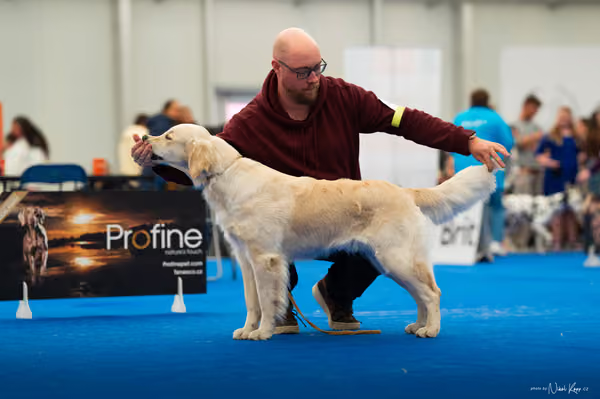 For Pets Cup — DSC01654