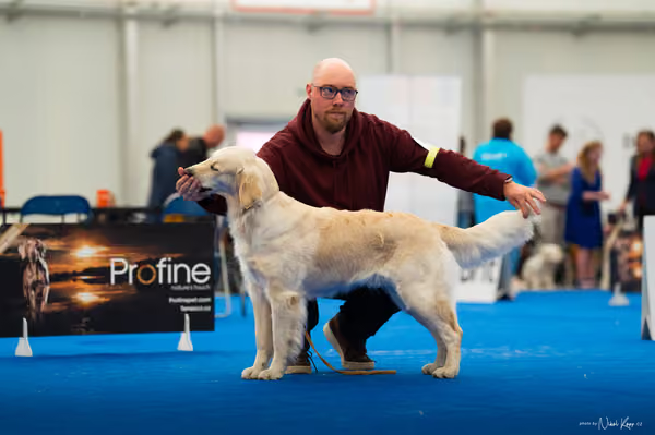 For Pets Cup — DSC01657