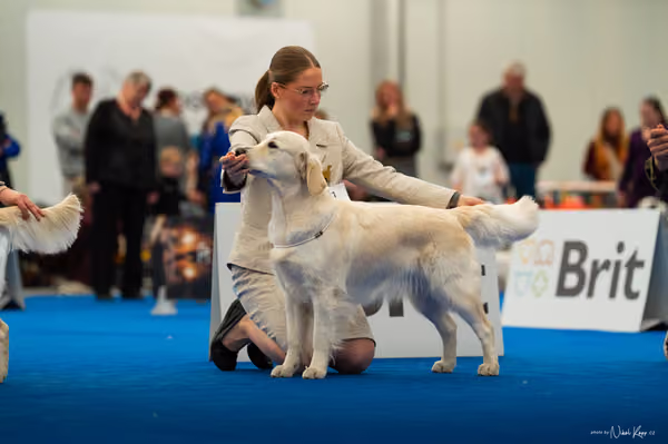 For Pets Cup — DSC01675
