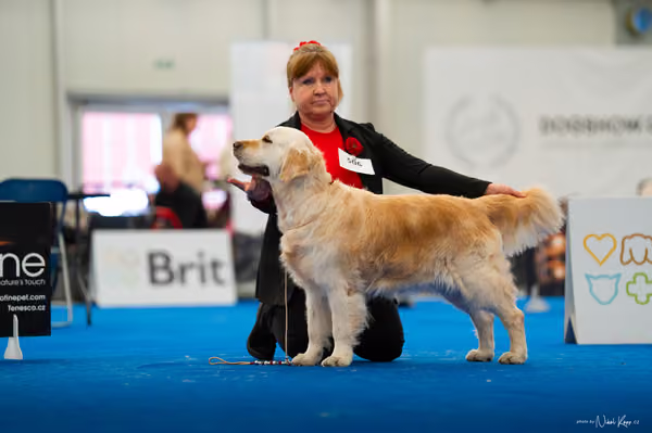 For Pets Cup – KRUH 4
