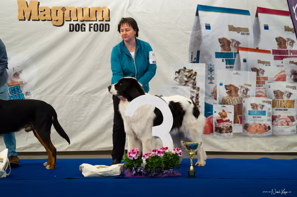 For Pets Cup – DOSPĚLÝ
