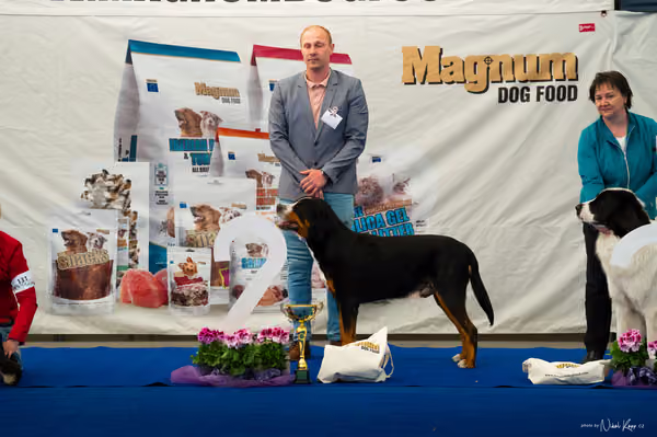 For Pets Cup – DOSPĚLÝ