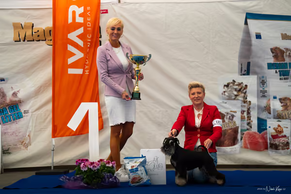 For Pets Cup – DOSPĚLÝ