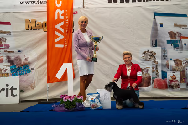 For Pets Cup – DOSPĚLÝ