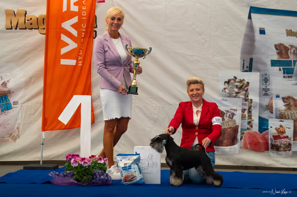For Pets Cup – DOSPĚLÝ