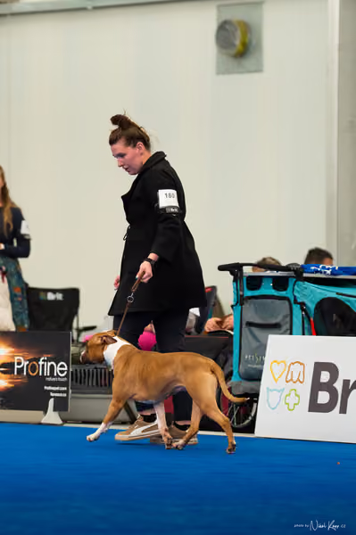 For Pets Cup – DOSPĚLÝ