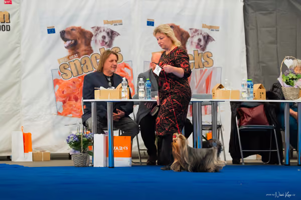 For Pets Cup – DOSPĚLÝ