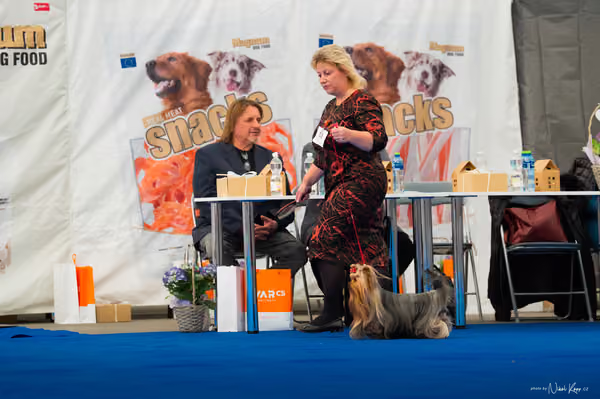 For Pets Cup – DOSPĚLÝ
