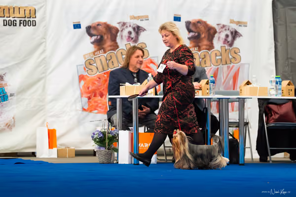 For Pets Cup – DOSPĚLÝ
