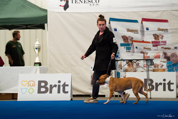 For Pets Cup – DOSPĚLÝ