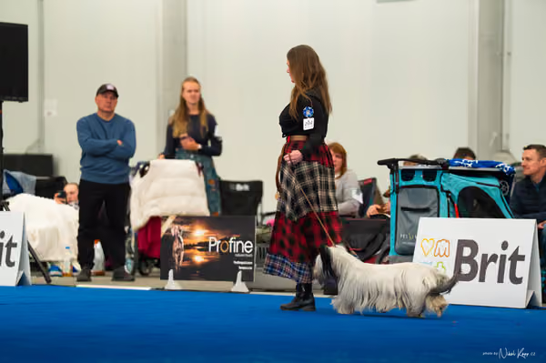 For Pets Cup – DOSPĚLÝ