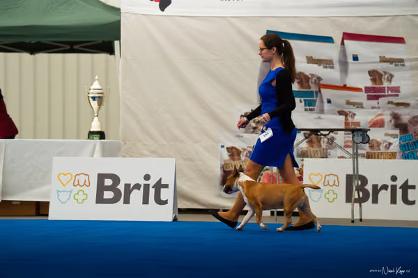 For Pets Cup – DOSPĚLÝ