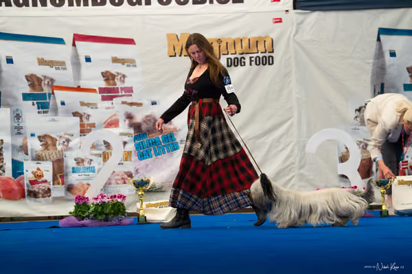 For Pets Cup – DOSPĚLÝ