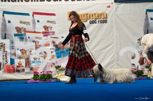 For Pets Cup – DOSPĚLÝ
